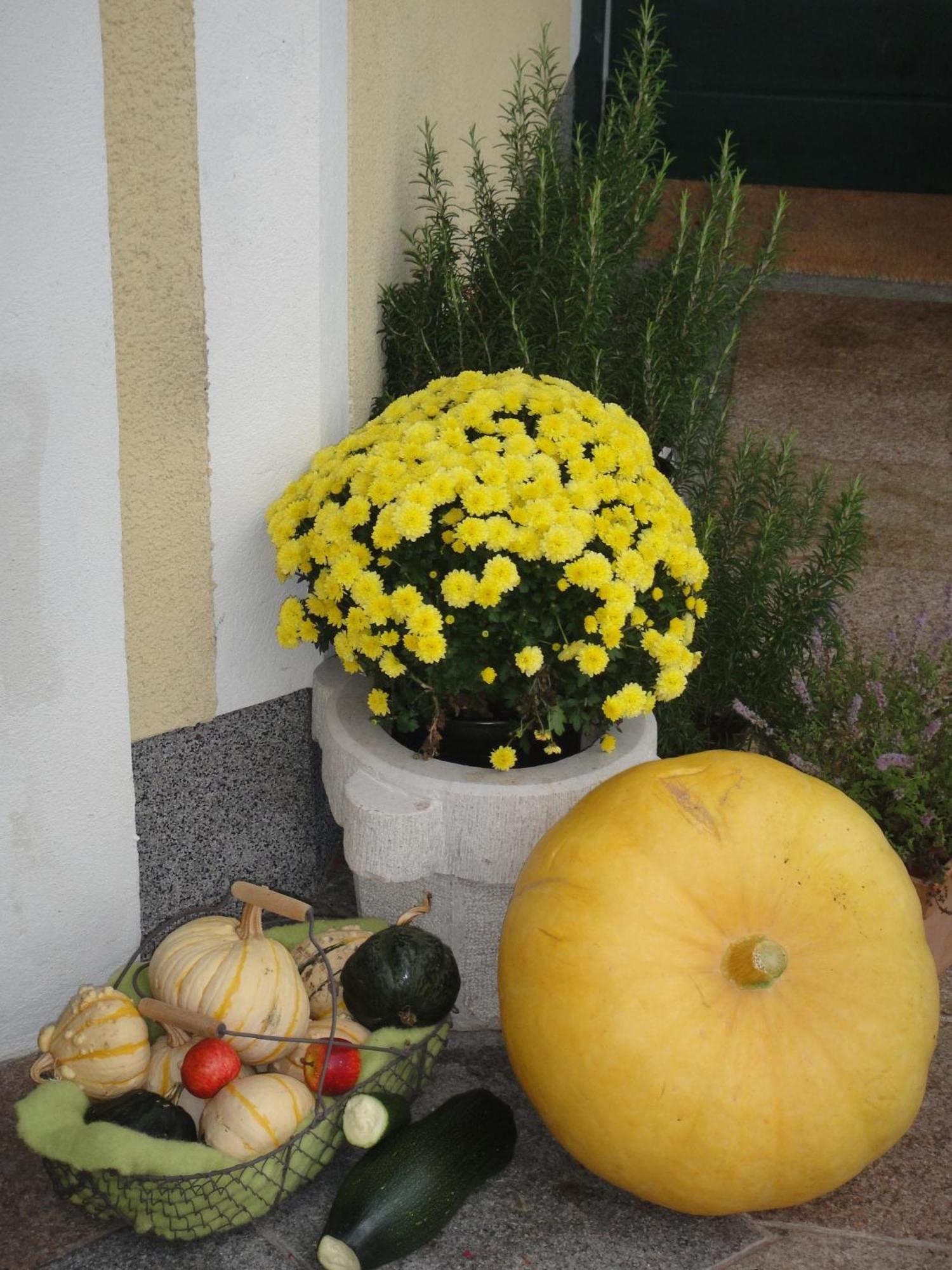 Ferienwohnung Haus Lehen Sankt Koloman Esterno foto